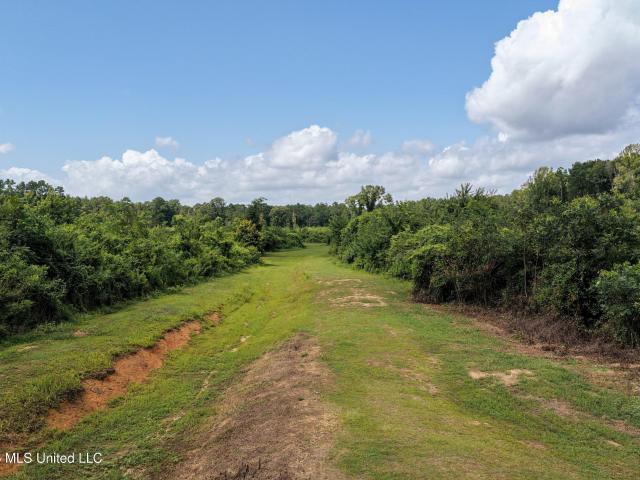 Land for sale in Tylertown, Mississippi