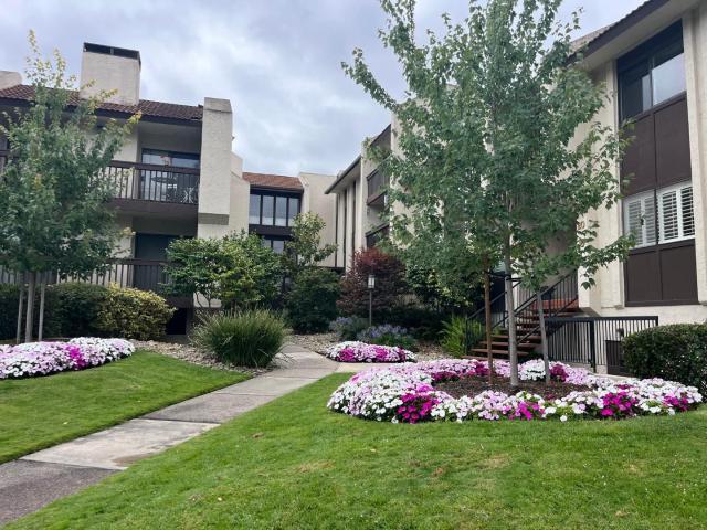Condo for sale in Los Altos