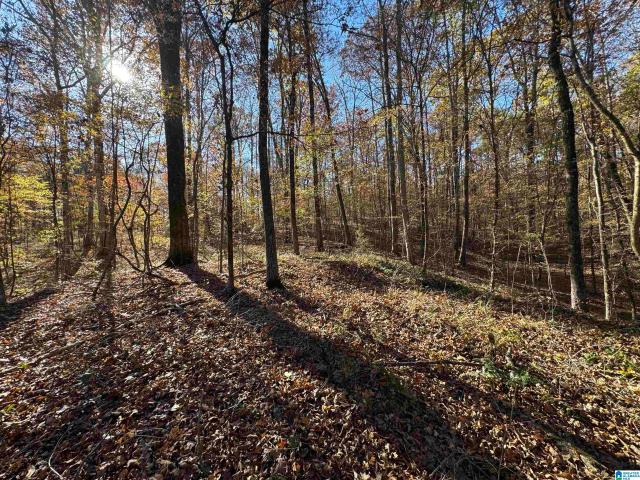 Land for sale in Centreville, Alabama