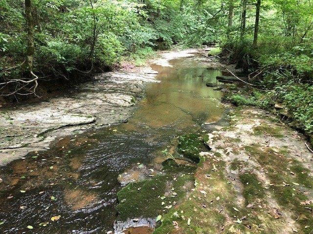 Farm for sale in Tennessee
