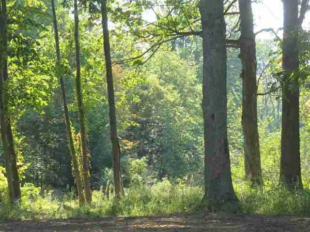 Land for sale in Warsaw, Indiana