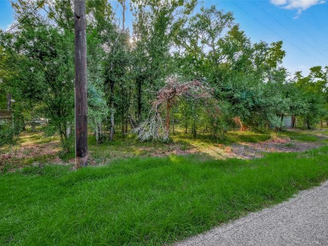 Land for sale in Damon