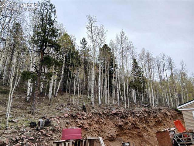 House for sale in Cripple Creek