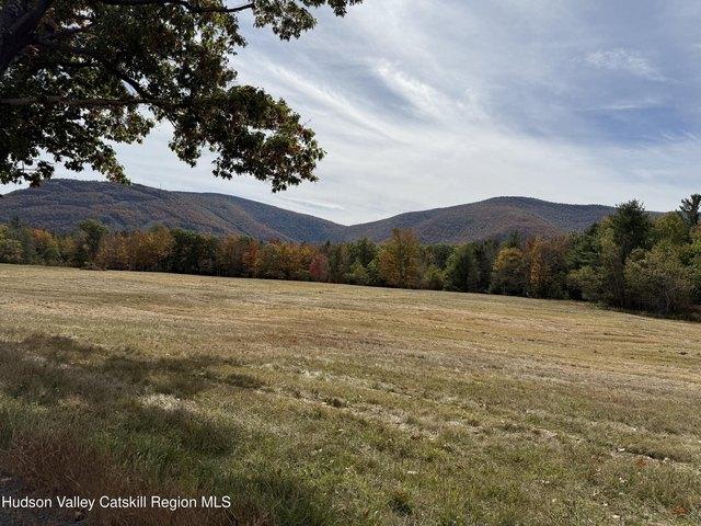 Land for sale in East Jewett, New York