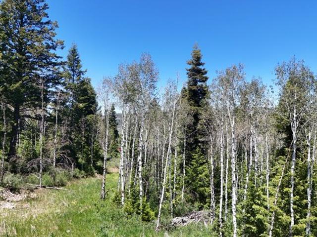 Land for sale in Spanish Fork, Utah