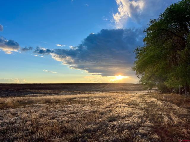House for sale in Montezuma, Colorado