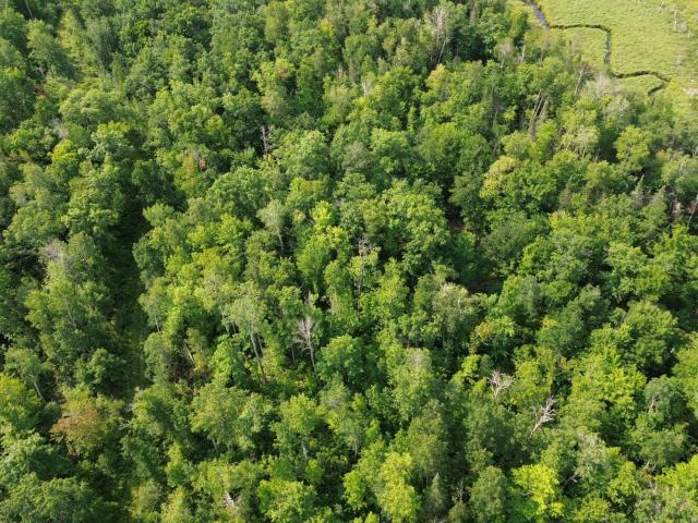 Land for sale in Minnesota