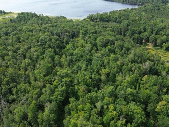 Land for sale in Emily, Minnesota
