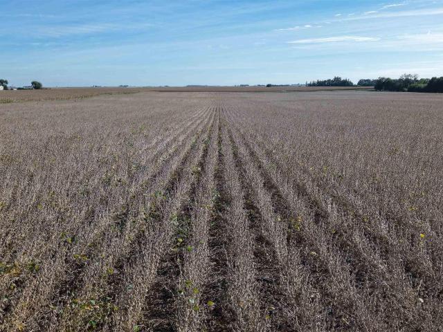 Land for sale in Unique, Humboldt