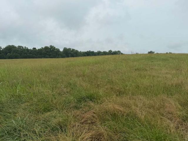 Land for sale in Theodosia, Missouri