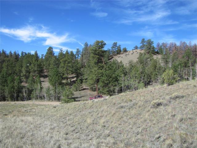 Land for sale in Hartsel, Park County