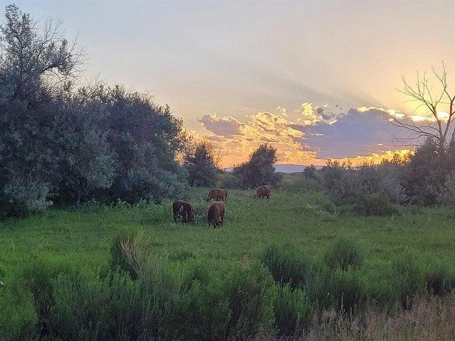 Farm for sale in Wyoming