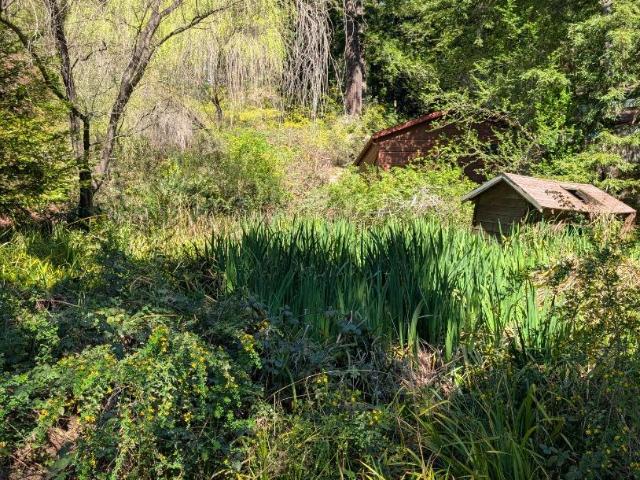 Land for sale in San Mateo, California