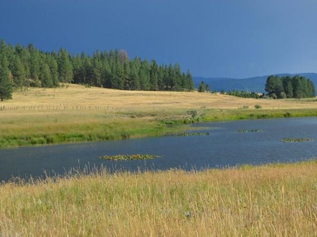 Land for sale in Mccall, Idaho