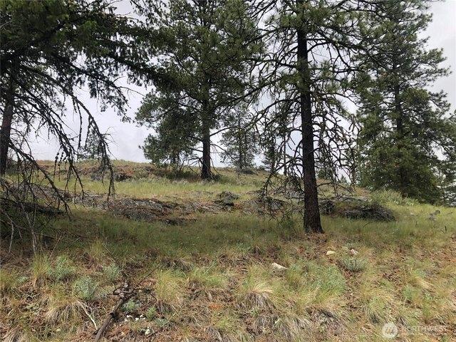 Land for sale in Oroville, Washington