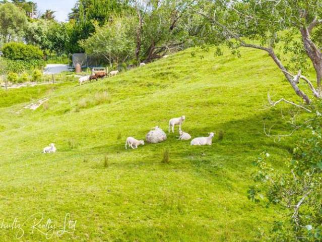 Property for sale in Paparoa, Northland