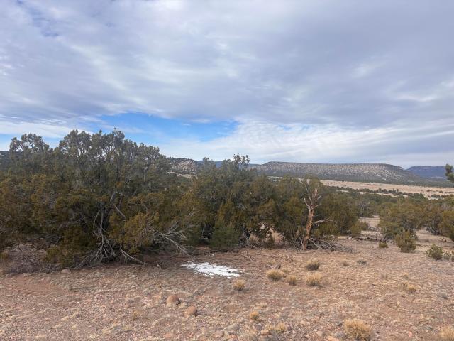 Land for sale in Catron, New Mexico