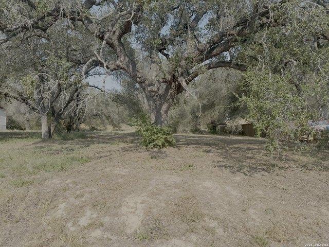 Land for sale in Elmendorf, Texas