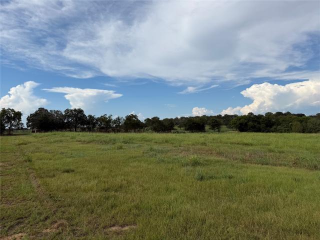 Land for sale in New Ulm, Austin County