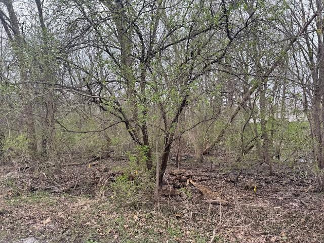 Land for sale in Steger, Cook County