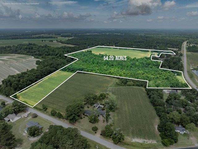 Land for sale in Worth, Georgia