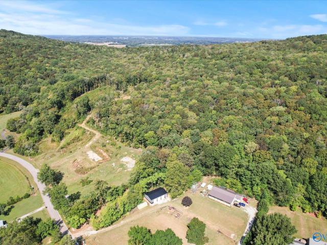 Land for sale in New Market, Alabama