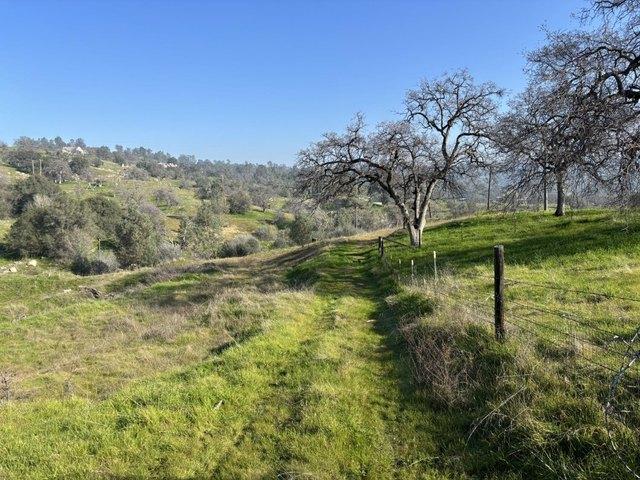 Land for sale in Friant, California