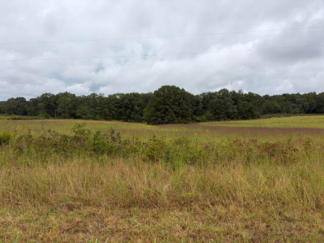 Land for sale in Greer, Alton