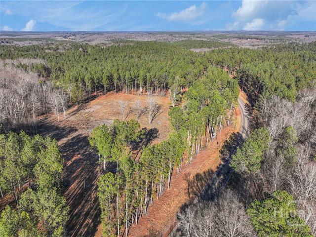 Land for sale in Comer, Georgia