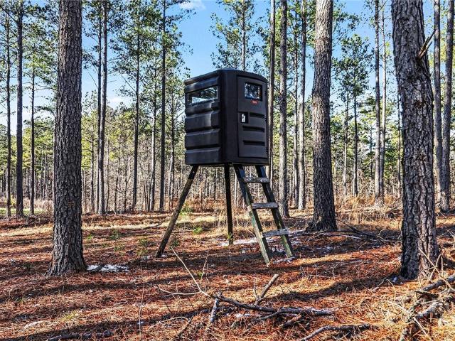 Land for sale in Comer, Georgia