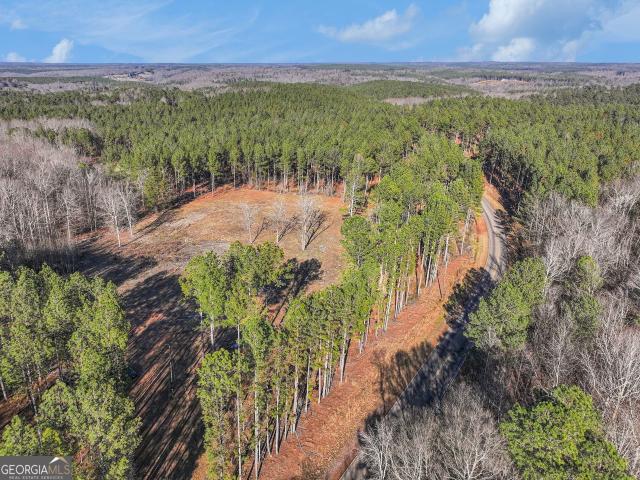 Land for sale in Vineyard Creek, Comer
