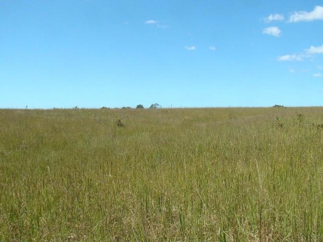 Farm for sale in Shannon, Missouri