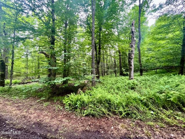 Land for sale in Jefferson, New York