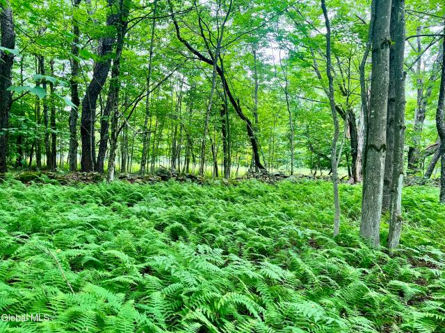 Land for sale in Town of Summit, Schoharie County
