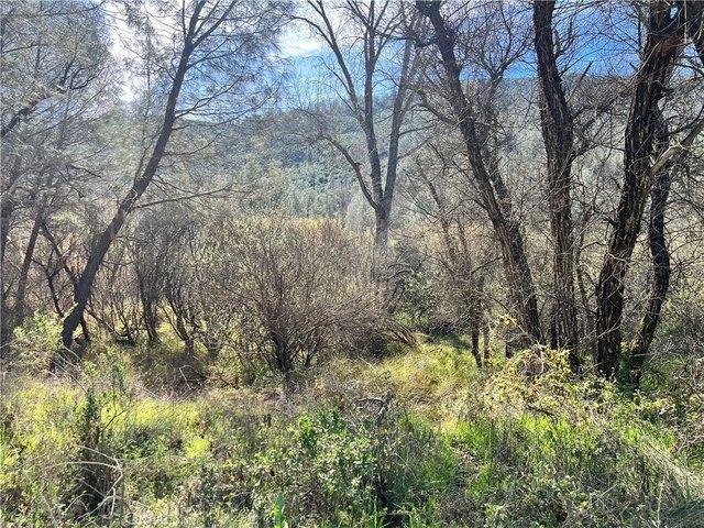 Land for sale in Clearlake Oaks, Lake County