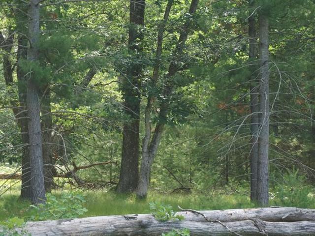 Land for sale in Whitehall, Michigan