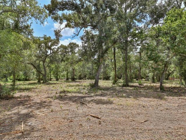Land for sale in Brazoria, Brazoria County