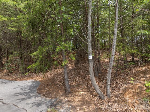 Land for sale in Rutherford, North Carolina