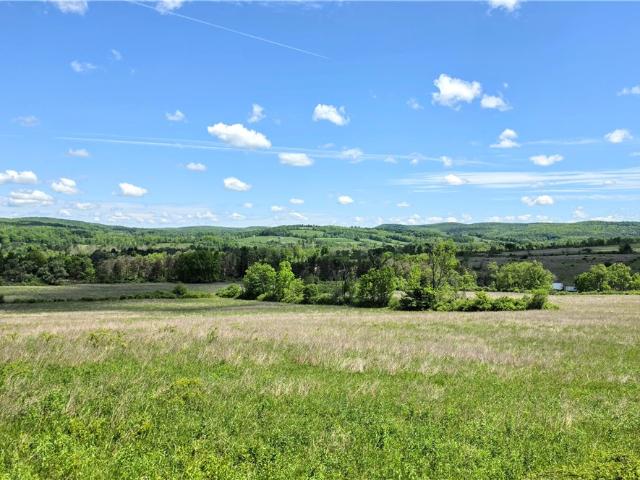 Land for sale in Brooktondale, New York