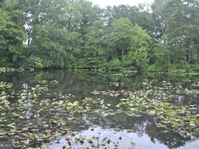 Condo for sale in Salisbury