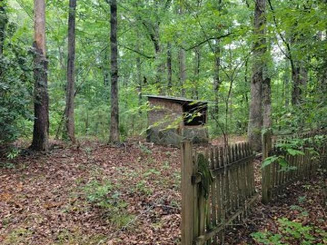 Land for sale in Spalding, Georgia