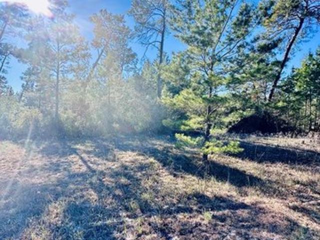 Land for sale in Carrabelle, Franklin County