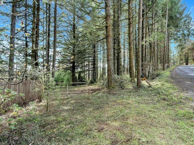 Land for sale in Hillsboro