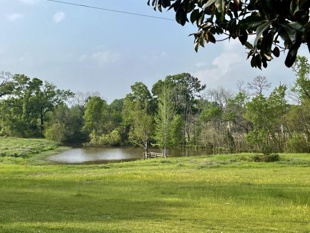 Farm for sale in Walker, Texas