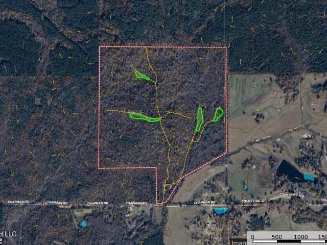 Land for sale in Falkner, Mississippi
