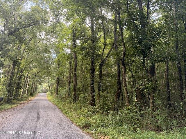 Land for sale in Bogue Chitto, Mississippi
