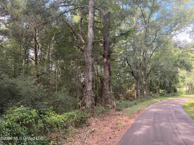 Land for sale in Bogue Chitto, Mississippi