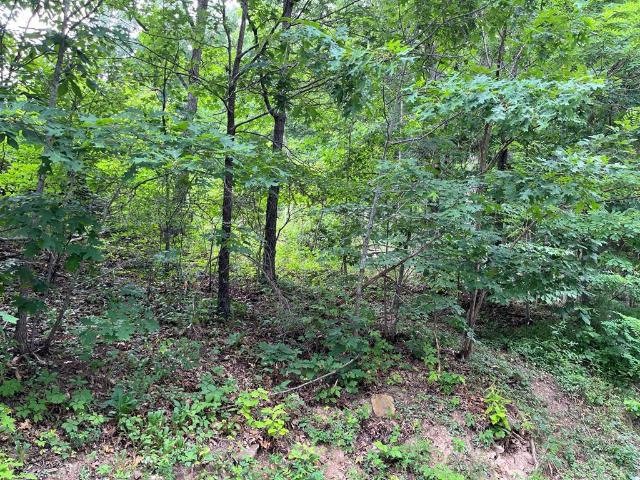 Land for sale in Waverly, Ohio
