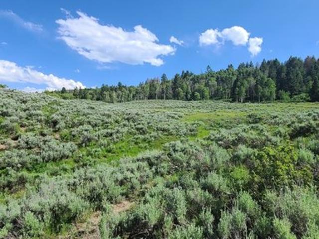 Land for sale in Spanish Fork, Utah