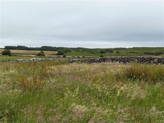 Detached House for sale in Doolin, South Tipperary